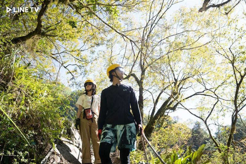 陳柏霖主持的實境節目《極島森林》，分別帶著四位好友踏上探索土地的旅程。（圖／翻攝自LINE TV）